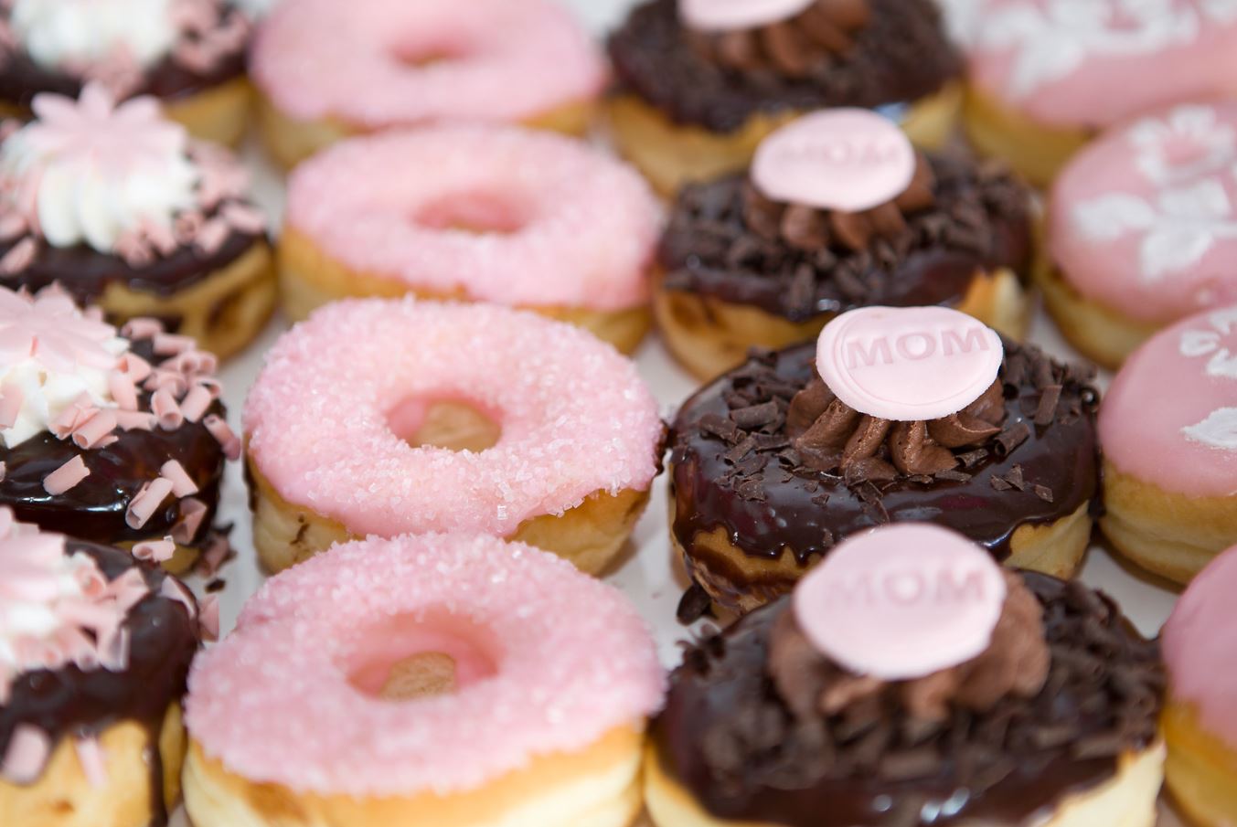 Holiday Offerings + Gifts