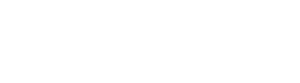 Jelly Modern Doughnuts